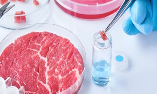 Лабораторный анализ пищевых продуктов по СанПиН в Сибае в октябре
