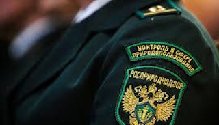 Подготовка к проверке Росприроднадзора в Сибае от ПромМир-Сба, стоимость услуги от 20552 руб.
